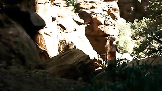 Nude celebs » Yvonne Strahovski sexy - The Canyon (2009)