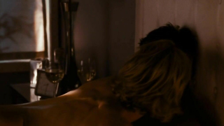 Radha Mitchell nude, sex scene in  Feast of Love (2007)