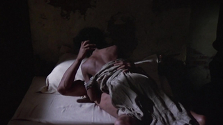 Brenda Sykes nude, sex scene Drum (1976)