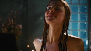 Nude video with Jessica Pare scene from Hot Tub Time Machine (2010)