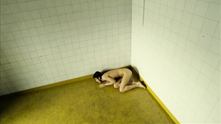 Nude video with Sybille Gebhardt scene from Joy Division (2006)