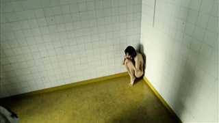 Nude video with Sybille Gebhardt scene from Joy Division (2006)