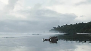 Adriana Ugarte nua, cena de sexo de Palmeras en la nieve (2015)